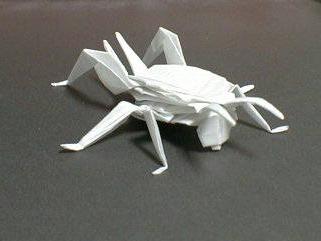 昆蟲折紙作品欣賞 -  rpnrmr.com