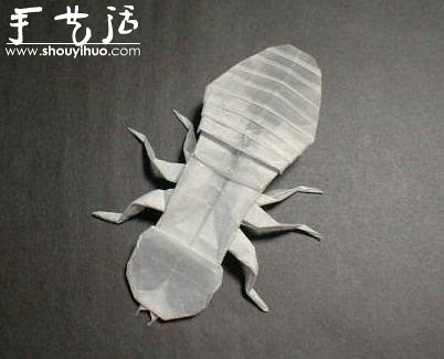 昆蟲折紙作品欣賞 -  rpnrmr.com