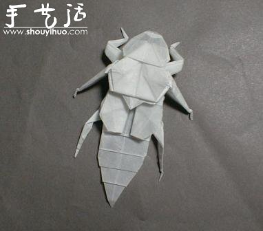 昆蟲折紙作品欣賞 -  rpnrmr.com