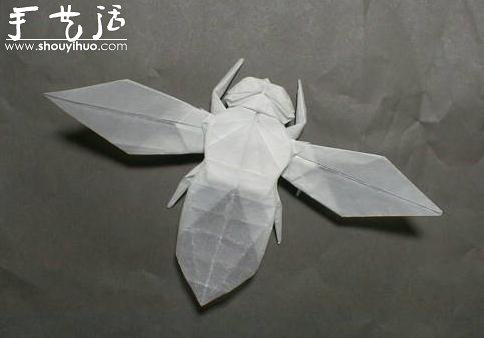 昆蟲折紙作品欣賞 -  rpnrmr.com