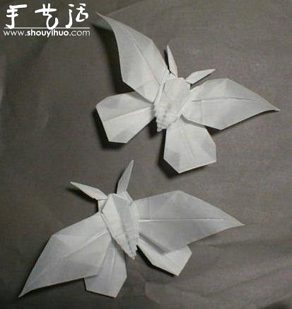 昆蟲折紙作品欣賞 -  rpnrmr.com