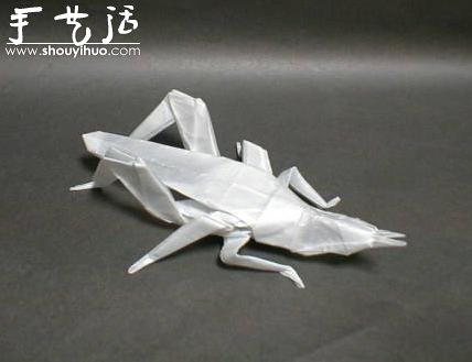 昆蟲折紙作品欣賞 -  rpnrmr.com