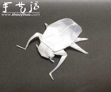 昆蟲折紙作品欣賞 -  rpnrmr.com
