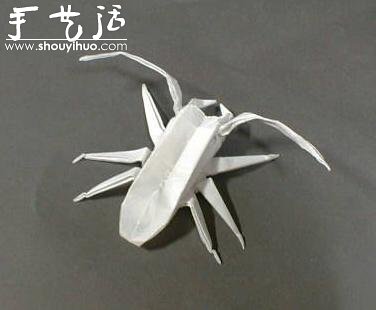 昆蟲折紙作品欣賞 -  rpnrmr.com