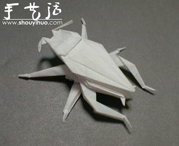 昆蟲折紙作品欣賞 -  rpnrmr.com