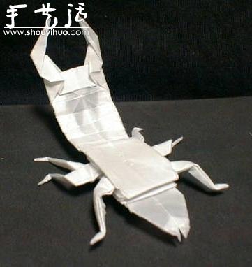 昆蟲折紙作品欣賞 -  rpnrmr.com