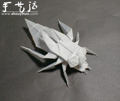 昆蟲折紙作品欣賞 -  rpnrmr.com