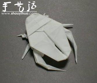 昆蟲折紙作品欣賞 -  rpnrmr.com
