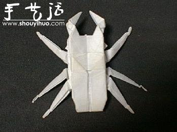 昆蟲折紙作品欣賞 -  rpnrmr.com