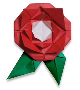 玫瑰折紙方法 -  rpnrmr.com