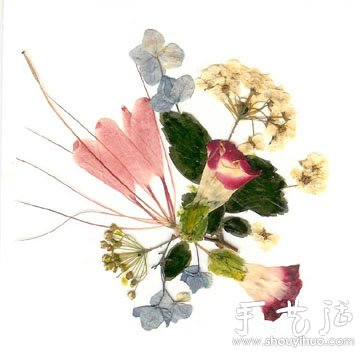 押花手工DIY方法 -  rpnrmr.com