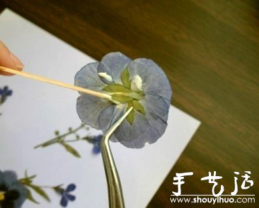 押花手工DIY方法 -  rpnrmr.com