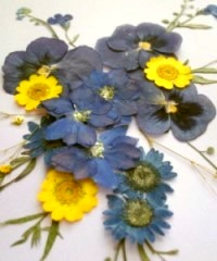 押花手工DIY方法 -  rpnrmr.com