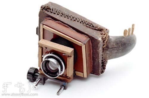 龜殼、穿山甲殼和動物角手工制作的相機 -  rpnrmr.com