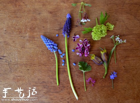 蛋殼小花園手工制作 -  rpnrmr.com