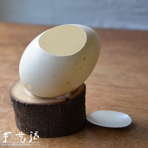 蛋殼小花園手工制作 -  rpnrmr.com