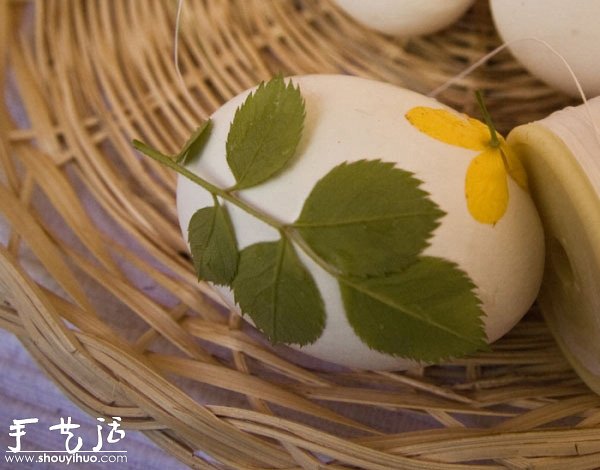 煮雞蛋創(chuàng)意手工制作：花草留白印染 -  rpnrmr.com