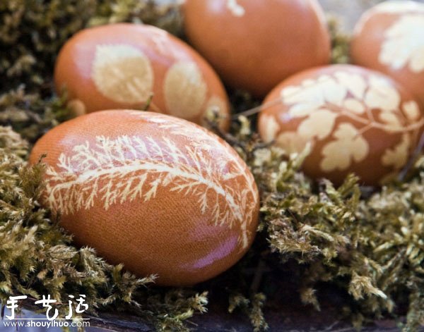 煮雞蛋創(chuàng)意手工制作：花草留白印染 -  rpnrmr.com