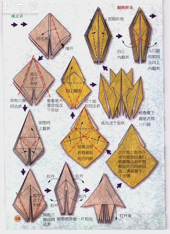 星座巨蟹座折紙方法 -  rpnrmr.com