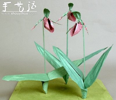 折紙大師lMichael lafosse的神奇技藝 -  rpnrmr.com