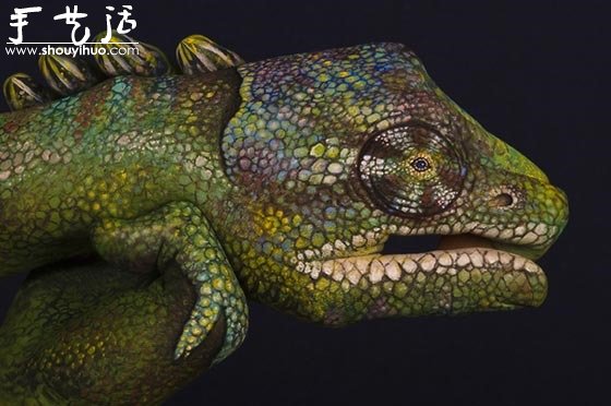 Guido Daniele的絕美動(dòng)物手繪 -  rpnrmr.com