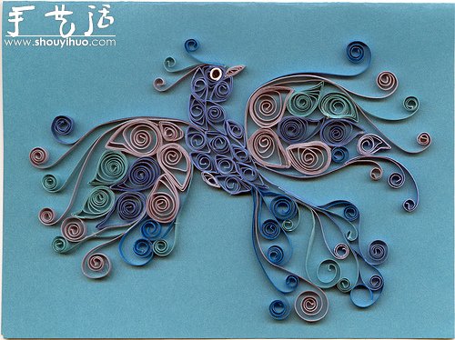 花草蝴蝶漂亮卷紙作品欣賞 -  rpnrmr.com