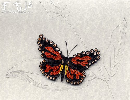 花草蝴蝶漂亮卷紙作品欣賞 -  rpnrmr.com