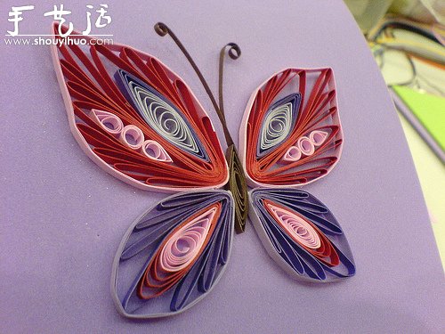 花草蝴蝶漂亮卷紙作品欣賞 -  rpnrmr.com