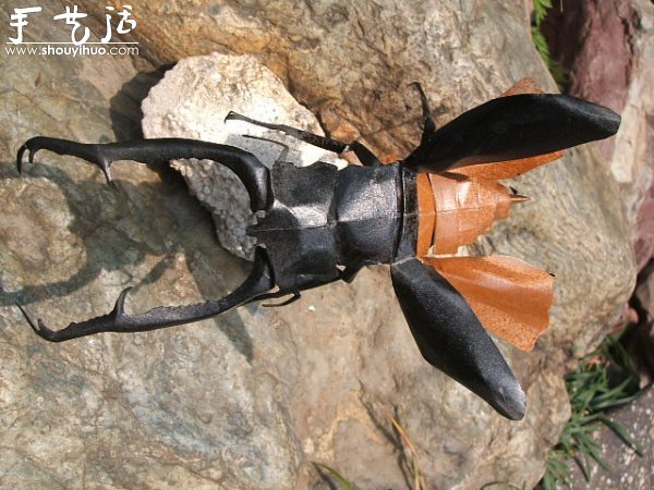 真假難辨的昆蟲折紙作品欣賞 -  rpnrmr.com