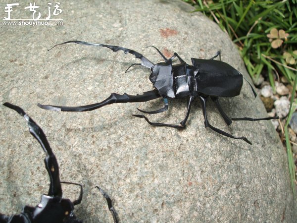 真假難辨的昆蟲折紙作品欣賞 -  rpnrmr.com