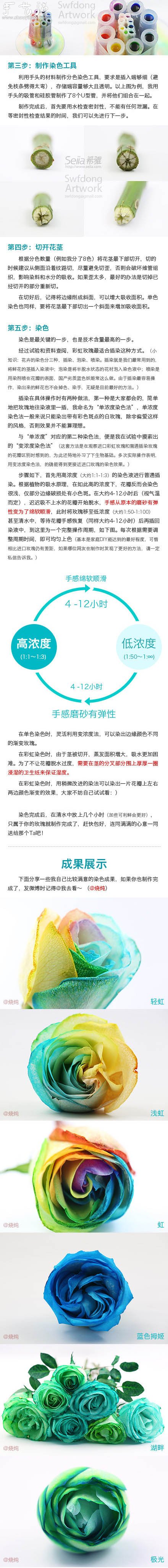白玫瑰制作彩虹玫瑰的DIY教程 -  rpnrmr.com