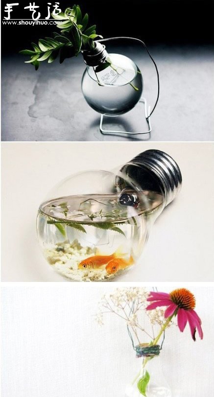 壞燈泡DIY盆栽、魚缸 讓房間充滿文藝范兒! -  rpnrmr.com