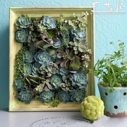 真正植物畫框DIY方法 -  rpnrmr.com