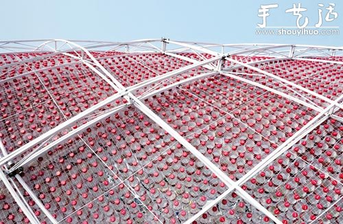 17000個塑料可樂瓶DIY制作的logo圖案 -  rpnrmr.com