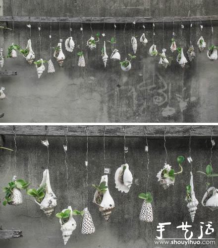 海螺貝殼DIY制作懸掛式裝飾盆栽的方法 -  rpnrmr.com