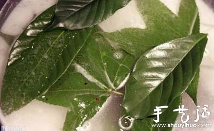 精美葉脈圖手工制作教程 -  rpnrmr.com