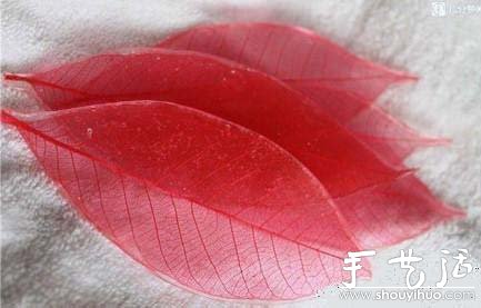 精美葉脈圖手工制作教程 -  rpnrmr.com