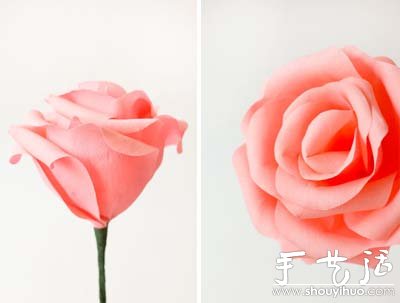 剪紙制作超逼真玫瑰花的教程 -  rpnrmr.com