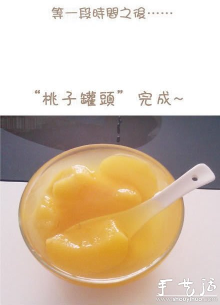 手工自制桃罐頭的教程 -  rpnrmr.com
