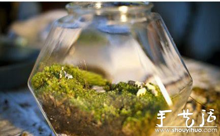 手工DIY苔蘚盆景的教程 -  rpnrmr.com