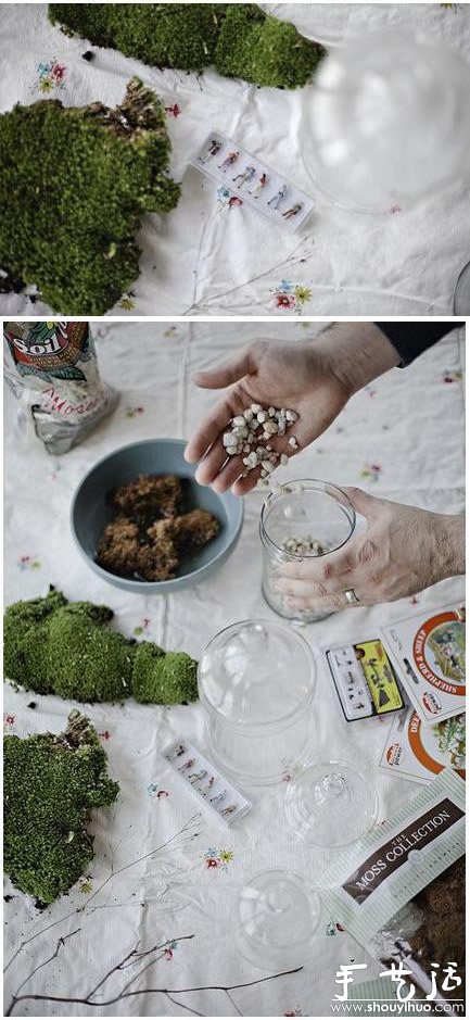 手工DIY苔蘚盆景的教程 -  rpnrmr.com