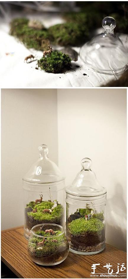 手工DIY苔蘚盆景的教程 -  rpnrmr.com