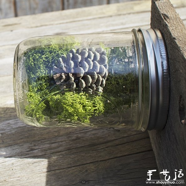玻璃瓶DIY植物盆景的教程 -  rpnrmr.com