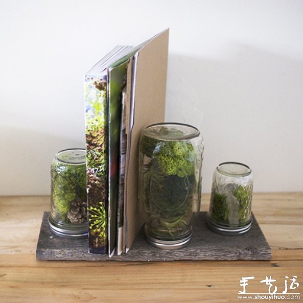 玻璃瓶DIY植物盆景的教程 -  rpnrmr.com
