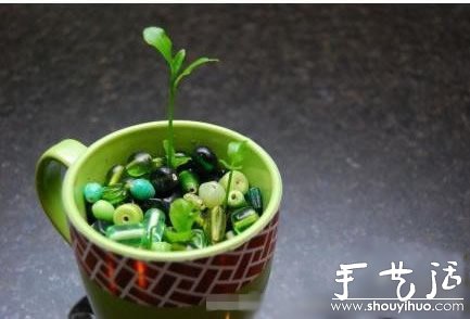 超萌的檸檬盆栽手工DIY -  rpnrmr.com