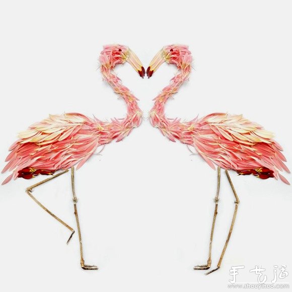 鮮花花瓣和植物枝干DIY的鳥類 -  rpnrmr.com