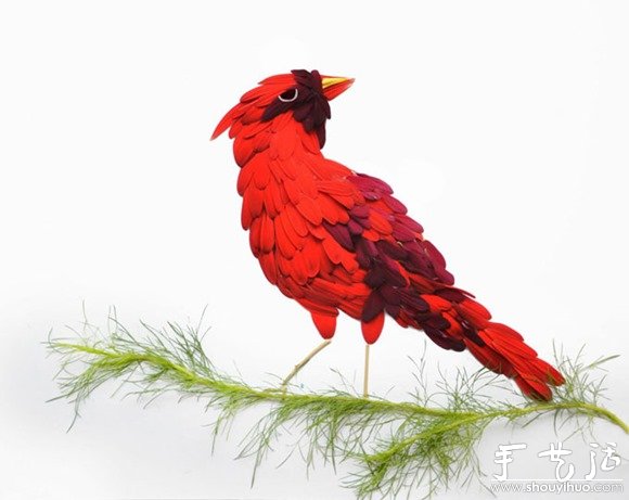 鮮花花瓣和植物枝干DIY的鳥類 -  rpnrmr.com