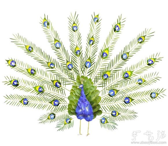 鮮花花瓣和植物枝干DIY的鳥類 -  rpnrmr.com