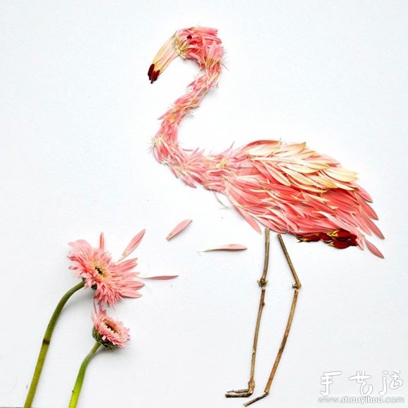 鮮花花瓣和植物枝干DIY的鳥類 -  rpnrmr.com