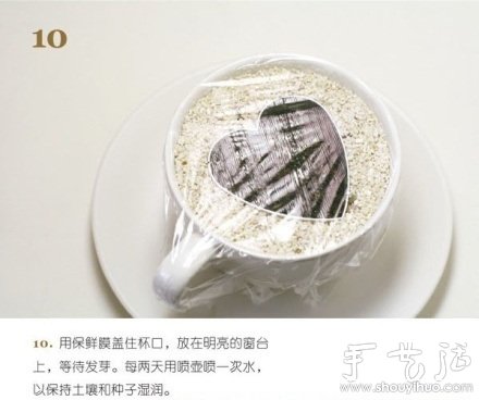 火龍果DIY心形盆栽 -  rpnrmr.com